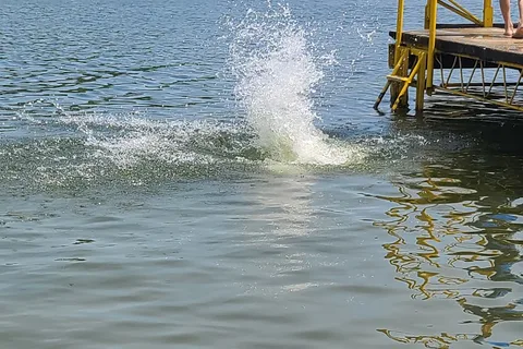 Lake Lenwood Beach and Campground