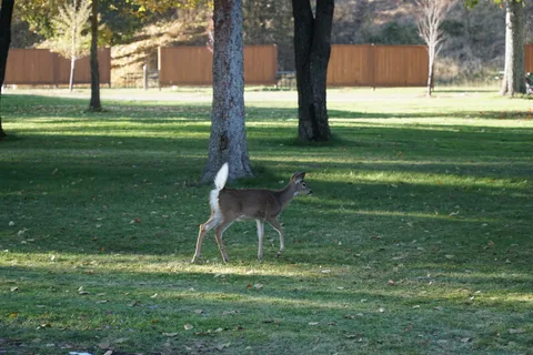 Grand Forks Municipal Campground