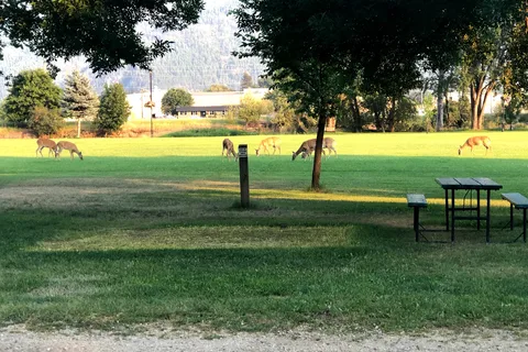 Grand Forks Municipal Campground