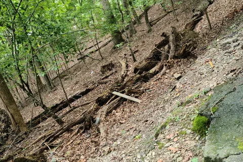 Shoal Creek Campground