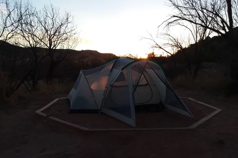 Cactus - Palo Duro Canyon State Park