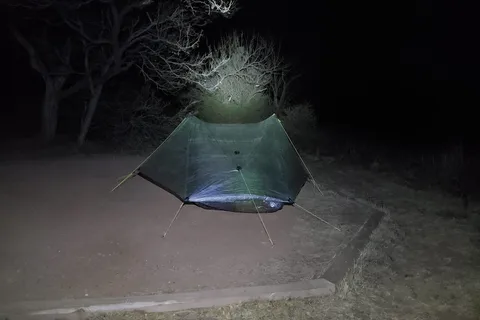 Cactus - Palo Duro Canyon State Park