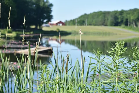 Forest Lake Campground