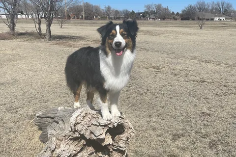 Comanche Campground and RV Park