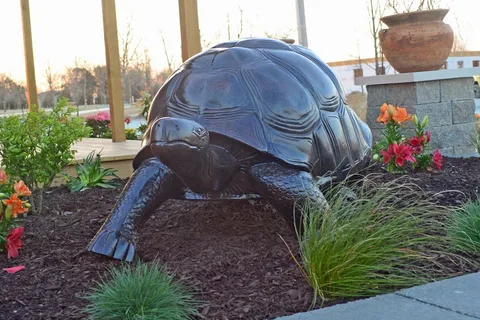 Little Turtle RV and Storage