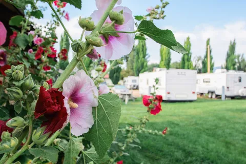 Lazy R Campground and RV Park