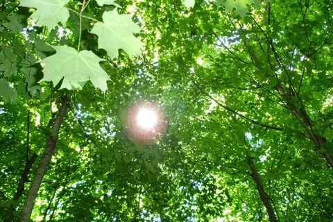 Campers Cove Campground