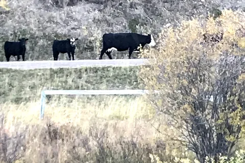 Watson Creek Provincial Recreational Area