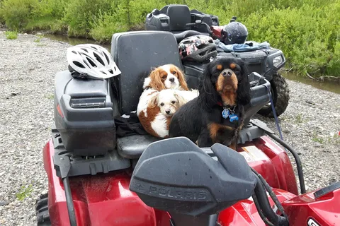 Watson Creek Provincial Recreational Area