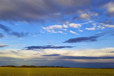 Camrose Exhibition Trail RV Park