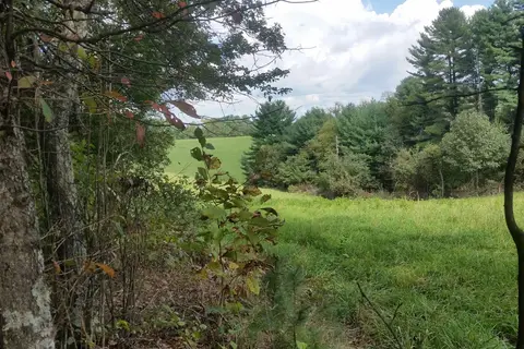 Utt's Campground