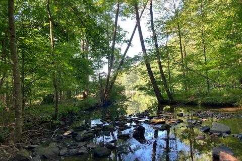 Colonel Denning State Park