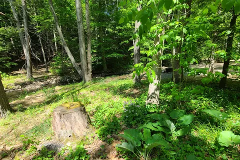 Colonel Denning State Park