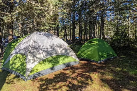 Bass Harbor Campground