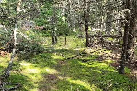 Bass Harbor Campground