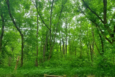 River Bend - Powhatan State Park