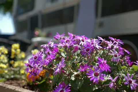 Clean Living RV Park