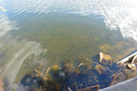 Figure Eight Lake Recreational Area