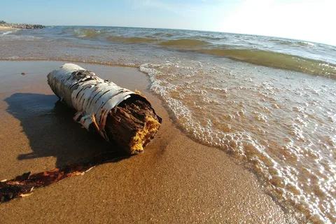 Pointe Des Chenes