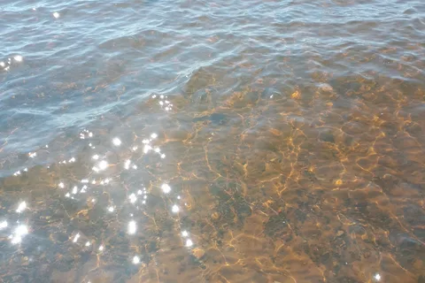 Pointe Des Chenes