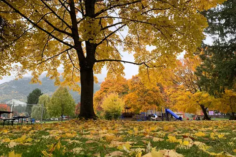 Kaslo Municipal Campground