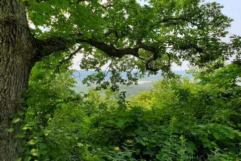 Homestead - Wyalusing State Park