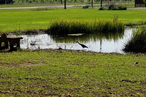 Creekside Plantation RV Campground