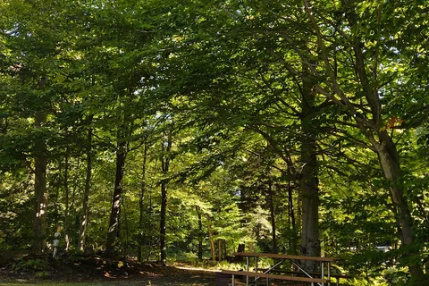 Autumn Moon Campground