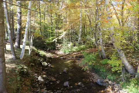 Moose Brook State Park