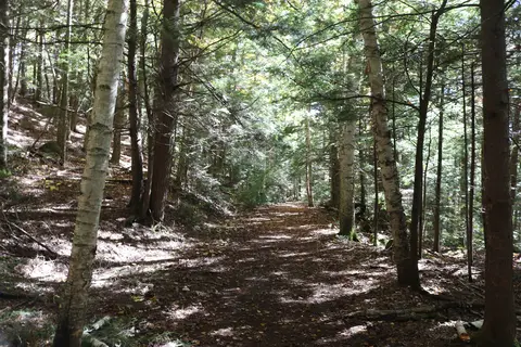 Moose Brook State Park