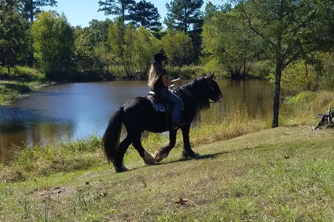 Horse Heaven Ranch Resort