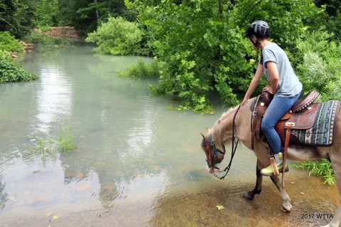 Horse Heaven Ranch Resort