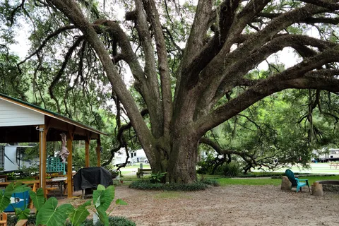 Big Oak RV Park
