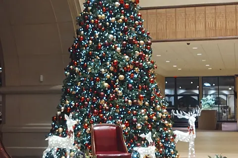Paragon Casino RV Resort