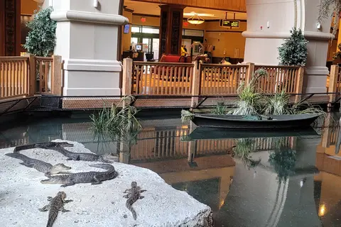 Paragon Casino RV Resort