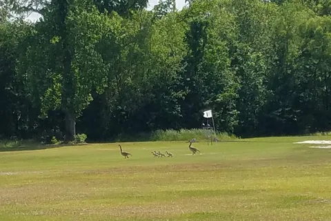 Rocky Hock Campground