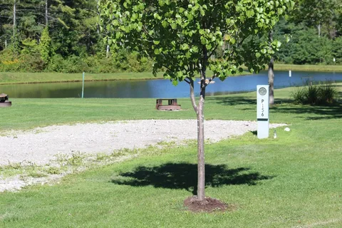 Sparrow Pond Campground