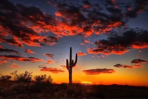 Destiny Phoenix RV Resorts
