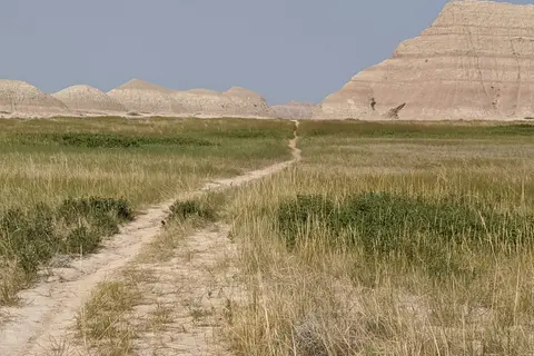Deer Haven - Badlands National Park