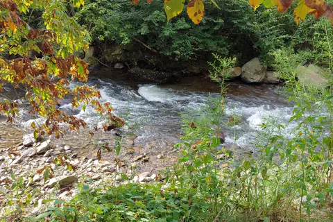 Winngray Family Campground