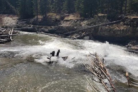 Livingstone Falls Recreational Area