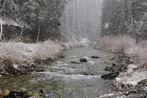 Livingstone Falls Recreational Area