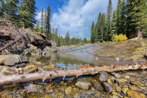 Livingstone Falls Recreational Area