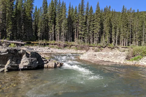 Livingstone Falls Recreational Area