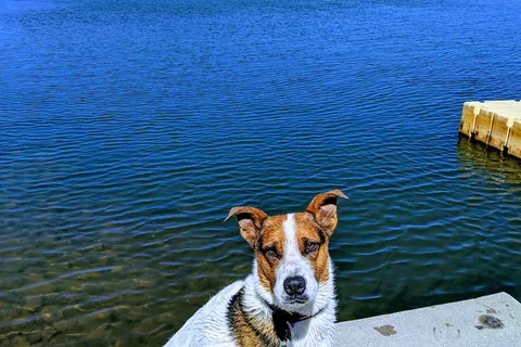 Reservation Lake Apache Indian Res