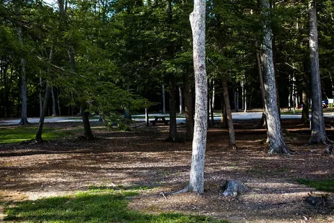 Old Mill Camp