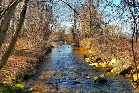 Ellacoya State Park Campground