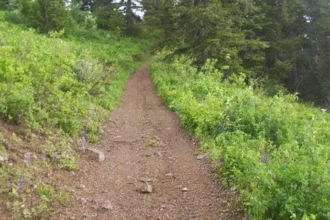 Lizzie and Charlies RV-ATV Park