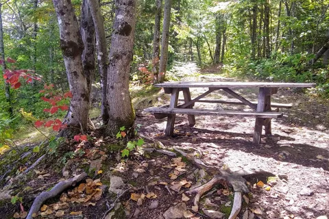 Aroostook State Park