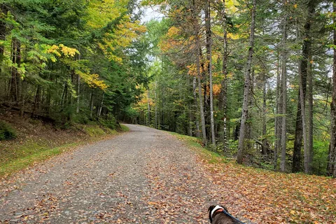 Aroostook State Park